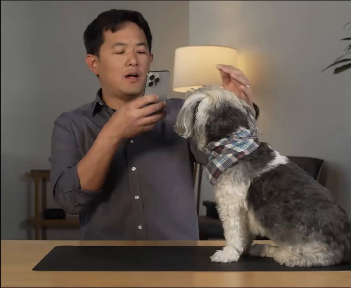 The Dog of Sol Street tweet media