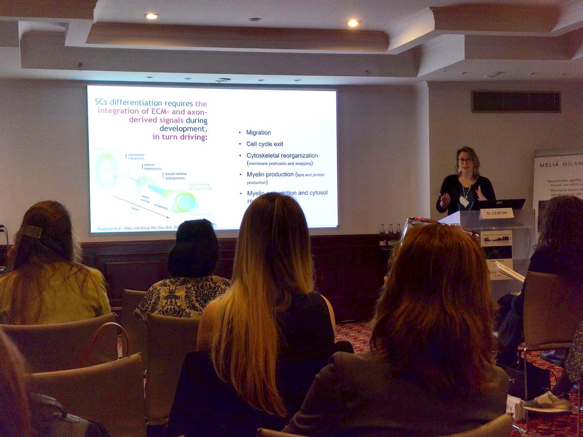 Bonaldo Lab tweet media