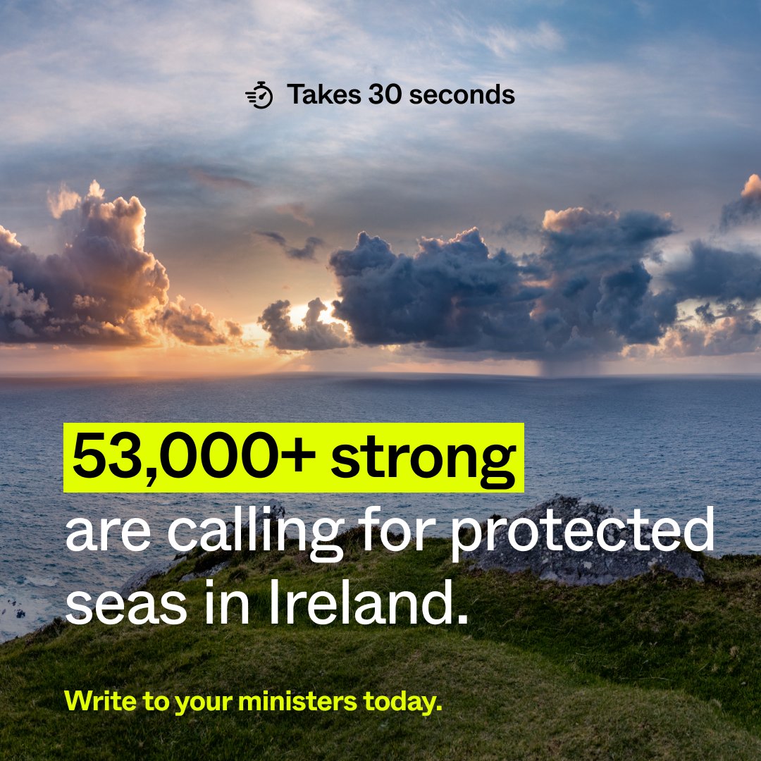 53,000+ people have signed the petition calling on government to publish the Marine Protected Areas bill to safeguard Ireland’s seas. Our leaders are listening — help us build on this pressure by writing to your ministers today. only.one/act/ministers-… #30x30Ireland #FairSeas