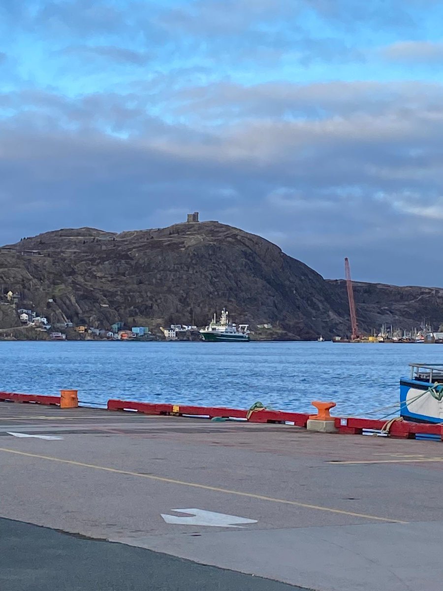 Marine Institute tweet media