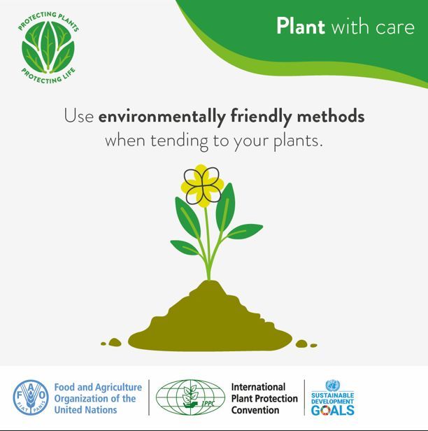 🌸 It's springtime, so let's focus on growing greener!

Choose sustainable gardening & use environmentally friendly methods when tending to your plants.

Learn why eco-friendly gardening is so important: buff.ly/3QI4GL2 #PlantHealth #ClimateAction