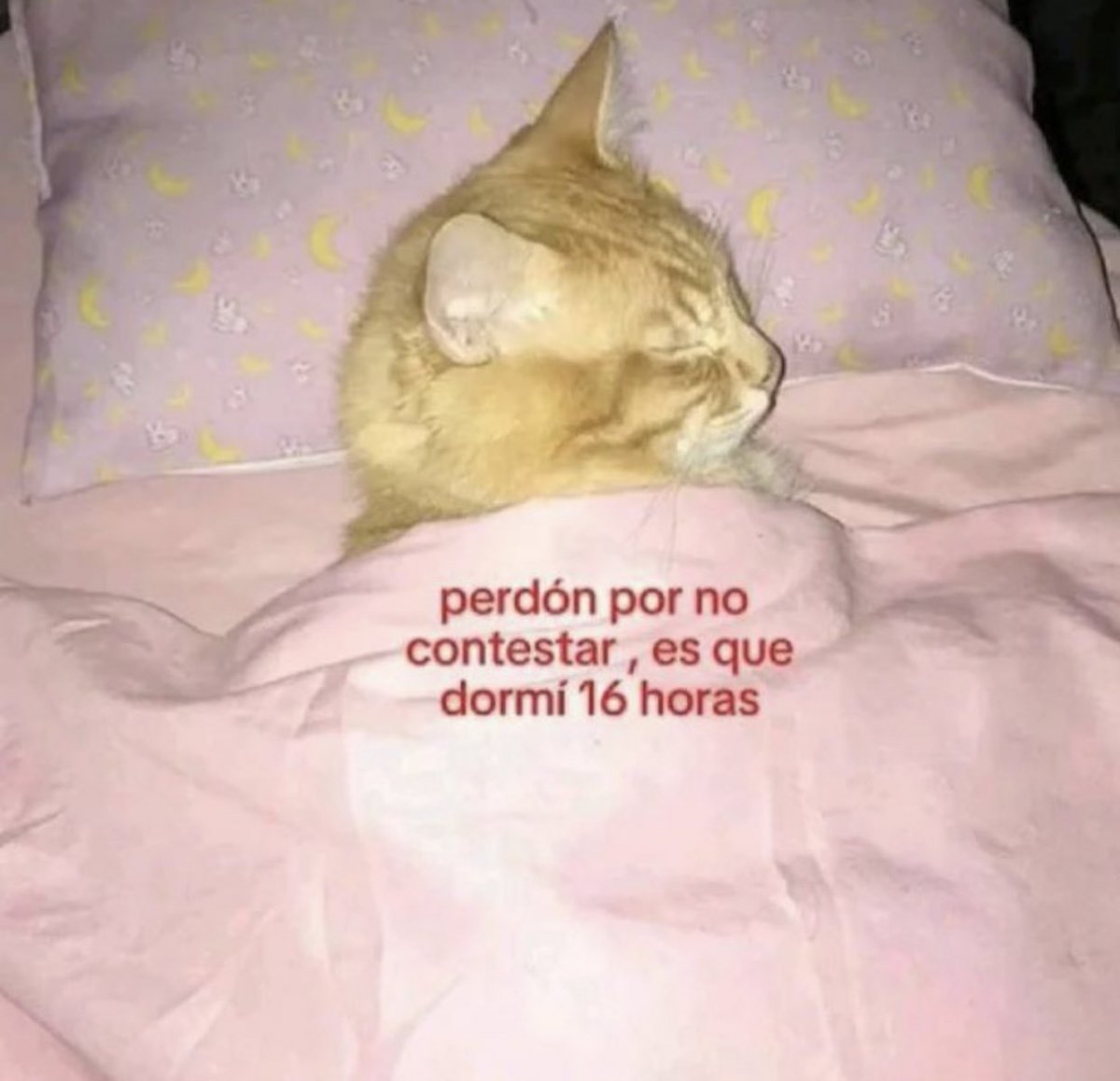 Ramiro Baeza (@ramiro_baeza7) on Twitter photo 