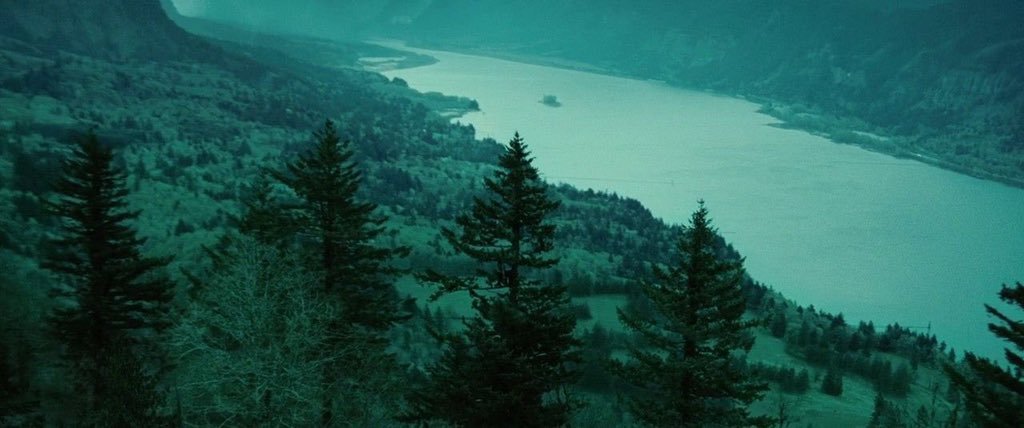 TheCinesthetic's tweet photo. twilight (2008) dir. catherine hardwicke https://t.co/o8JG2au87L