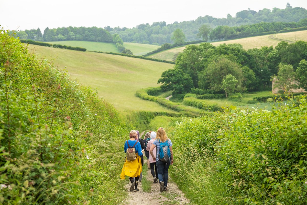 The Chilterns Walking Festival kicks off this Saturday, 18 May! 🥾🌳 Explore the beautiful Chilterns National Landscape, discover new walks, and learn about history, heritage, wildlife, farming and much more! Have you booked your walk yet? 👇 bit.ly/Chilternswalki…