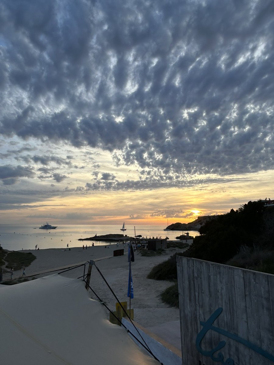 Sunset on Ibiza. Drink in hand. Swifts above. What a way to end the trip.