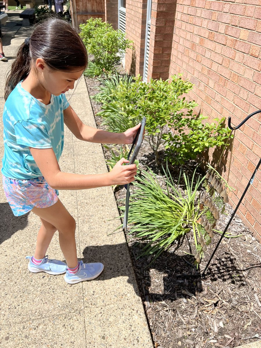 Shanna Struble tweet media