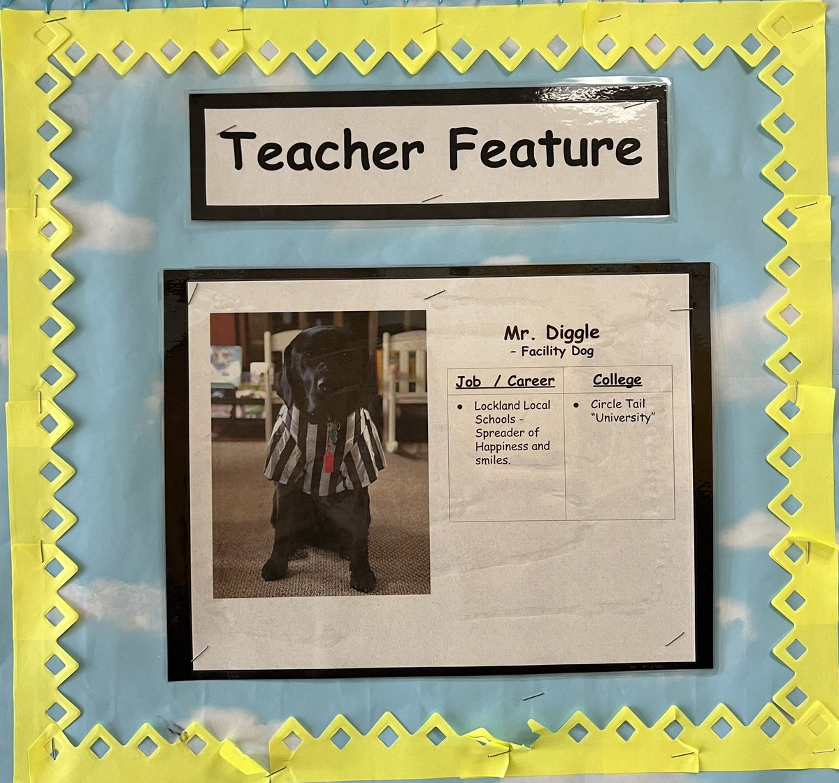 Mr. Diggle (@mister_diggle) on Twitter photo Teacher Feature of the week <a href="/LocklandLocal/">Bob Longworth</a> 💛💙🐾💙💛
#diggledog #workingdog #facilitydog #teacherfeature #pantherpride #ilovemyjob Teacher Feature of the week <a href="/LocklandLocal/">Bob Longworth</a> 💛💙🐾💙💛
#diggledog #workingdog #facilitydog #teacherfeature #pantherpride #ilovemyjob
