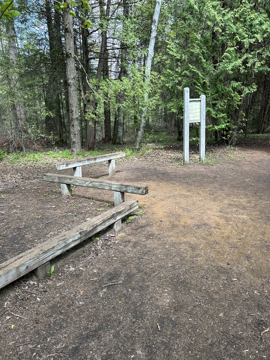 NathalieR71's tweet photo. Got 10k done- only need 40 this week. I got to do some parcour😂 This trail has a few exercise spots. Practiced my balance! #TaperTime #FitLeaders #ercvrc https://t.co/6L5hS2R6Fe
