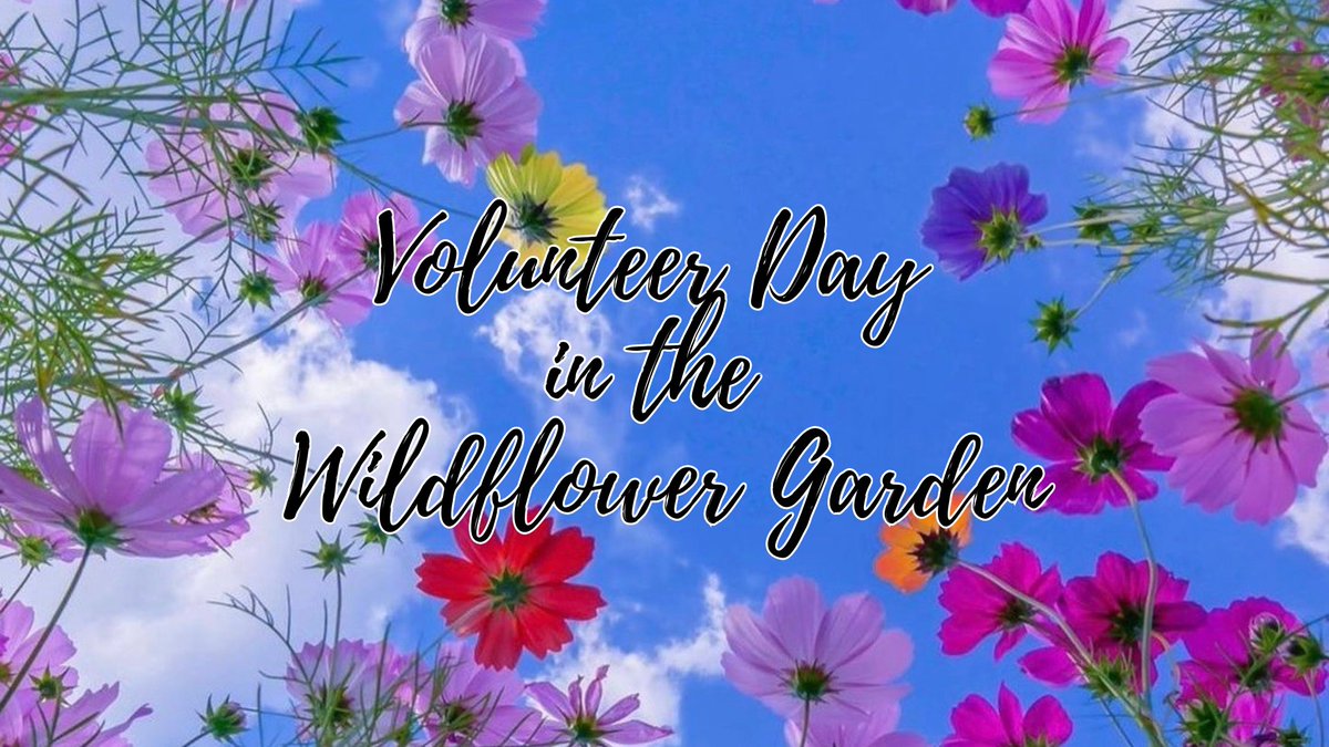 Visit Trailside Nature Museum, Saturday, May 18, from 10 a.m. to 2 p.m. to lend a helping hand to make the garden even more beautiful. Bring work gloves.