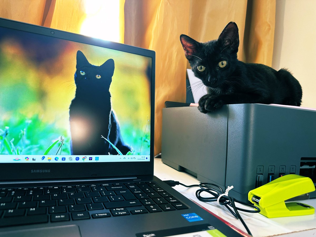pkatys1's tweet photo. Vai ficar bonitão igual o coleguinha da foto, meu filho! Confia na sua escrava humana que vai dar certo. 
Clarêncio 🖤 https://t.co/mZFhKDSmw3