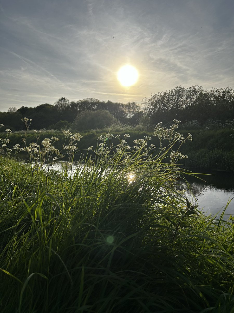 Evening walk in the sunshine. Lovely. More of this please 🙏