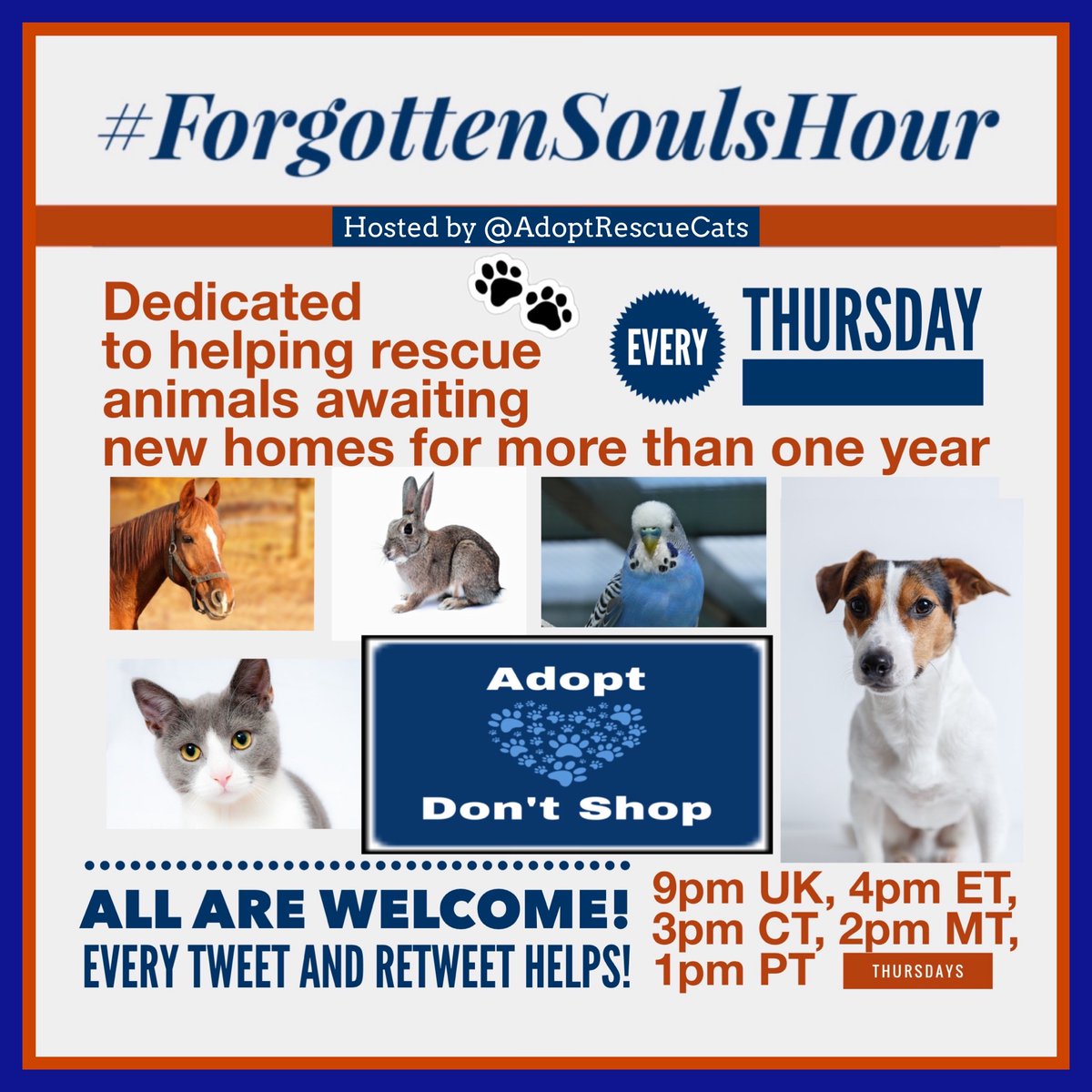 Join in with #forgottensoulshour to help long term animals in rescue (1 year+)
Every Thursday
9pm UK
4pm ET
3pm CT
1pm PT #USA
Lets help find some #foster or #foreverhome 
Hosted by @AdoptRescueCats
Tag your pals&spread the word
All welcome #k9hour #rehomehour