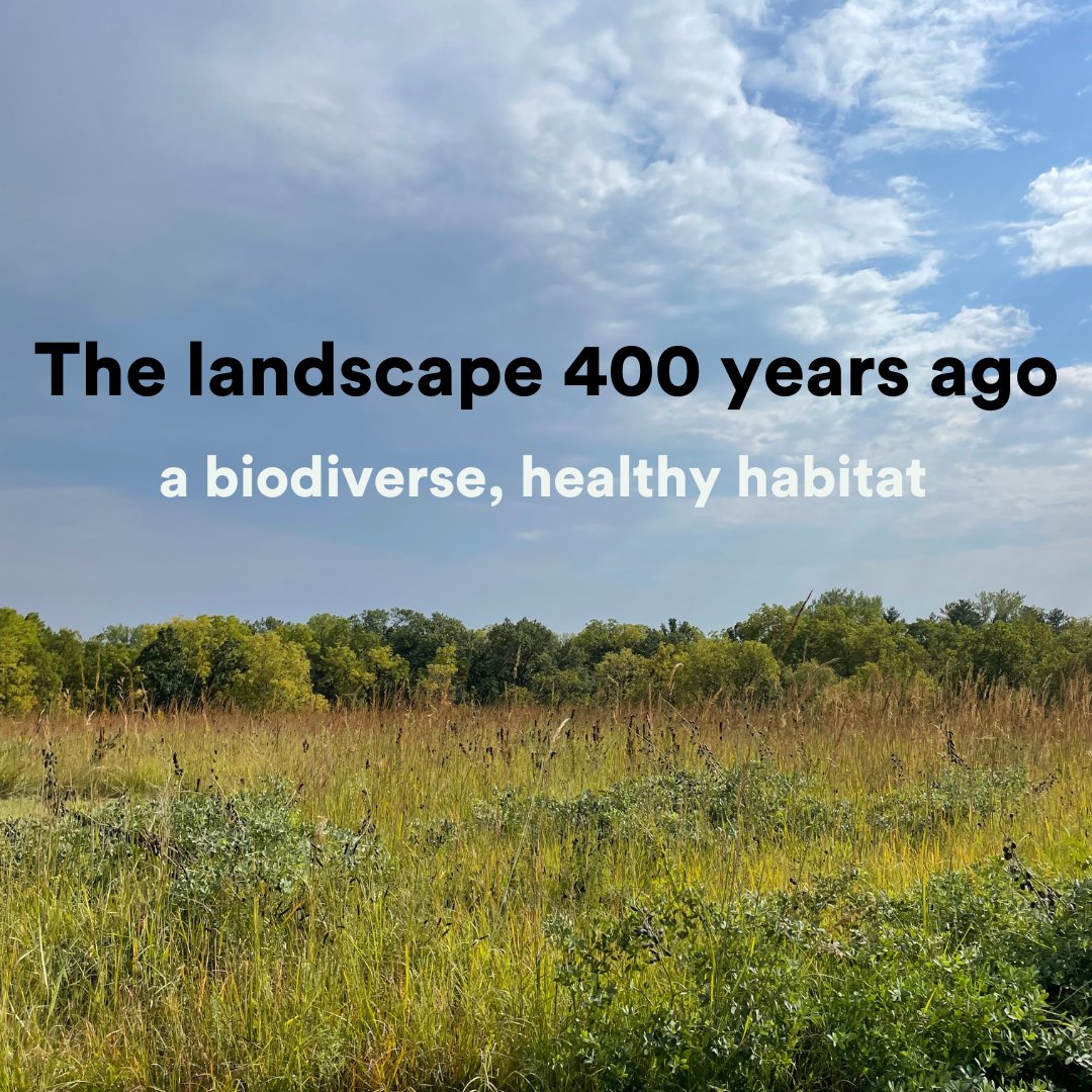 Re:wild Your Campus tweet media