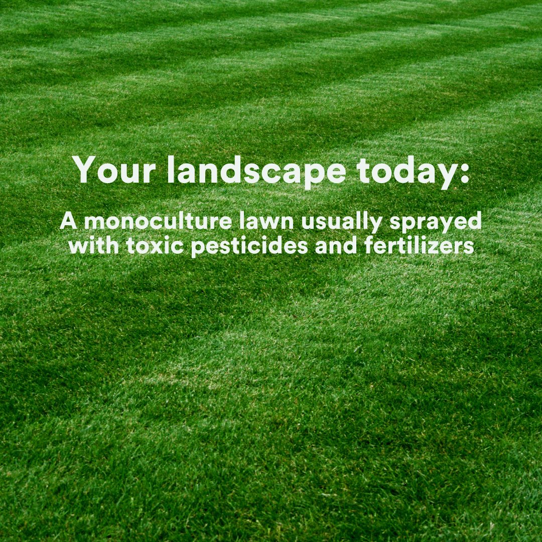 Re:wild Your Campus tweet media