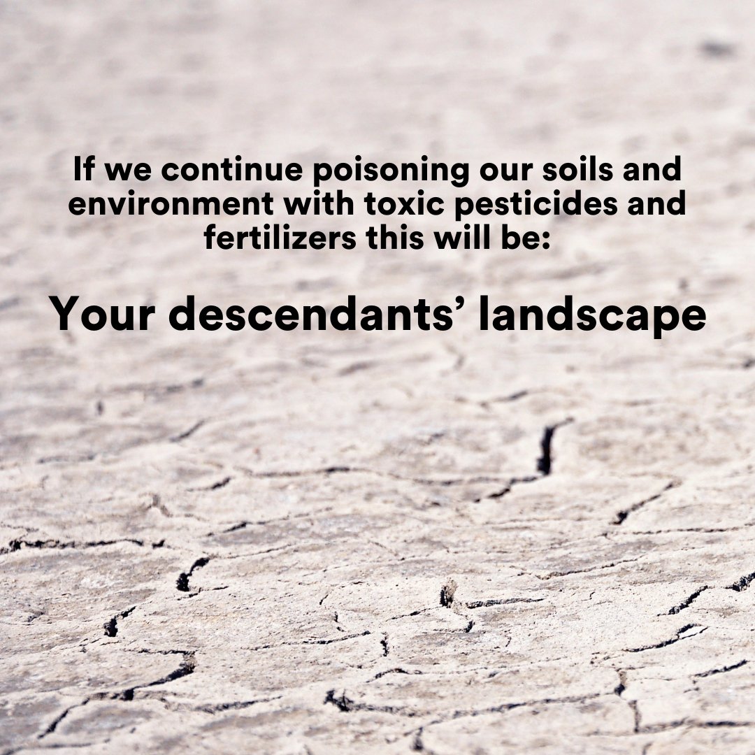Have you ever looked at a lawn and wondered... why do we do that? Well, we have. And the truth is we (humans) have not always destroyed our ecosystems with poisons, but if we continue on this path the impacts will be devastating. This is why we must #rewild our campuses!