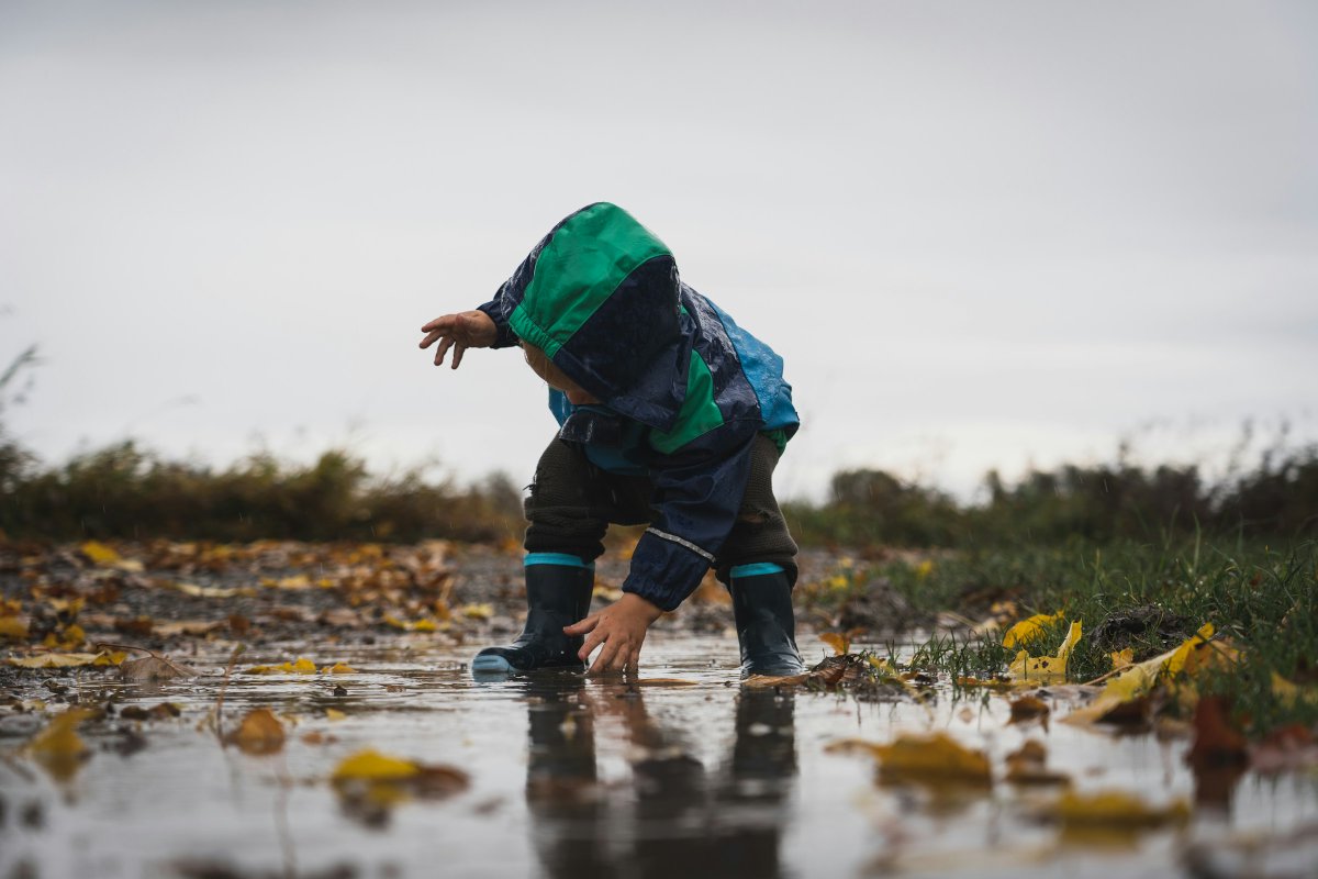 Earth Island Institute (@earthisland) on Twitter photo Kids need the wild. And to get them there, we need #leadership. Some lessons from Children in Nature's two decades in the field, via <a href="/earthislandjrnl/">Earth Island Journal</a> : bit.ly/3JWoiaJ Kids need the wild. And to get them there, we need #leadership. Some lessons from Children in Nature's two decades in the field, via <a href="/earthislandjrnl/">Earth Island Journal</a> : bit.ly/3JWoiaJ