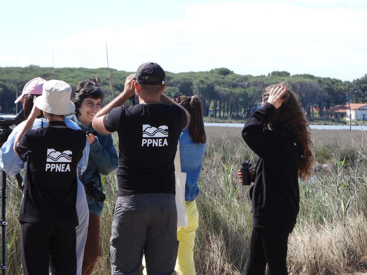 Celebrating #WorldMigratoryBirdDay and #GlobalBigDay at Sektori Rinia-Fllakë Wetland! Over 30 bird species spotted, including Eurasian thick-knee, Dalmatian pelican, and more.Despite not proclaimed a PA, this wetland it's crucial for Albania's biodiversity. @global_birding