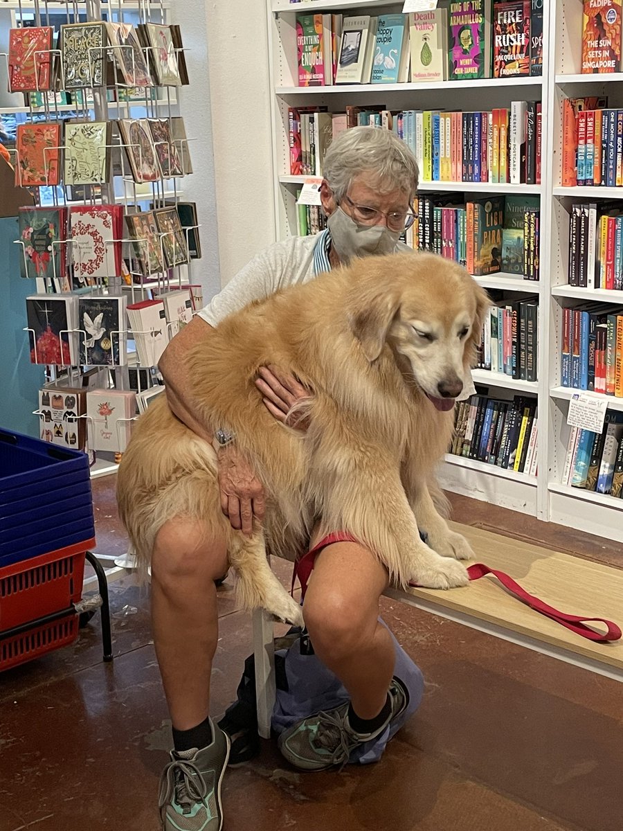 randomandtrue1's tweet photo. @TheGoldenRatio4 Goodbye sweet baby Vink. You touched so many and brought cheer everywhere. You will never ever be forgotten. https://t.co/BWPEHqd6eF