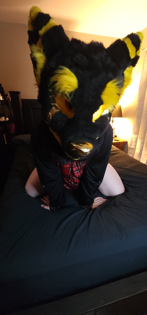 transuccubust's tweet photo. No bitches ? 
Dm for customs https://t.co/WiowiUeV7g