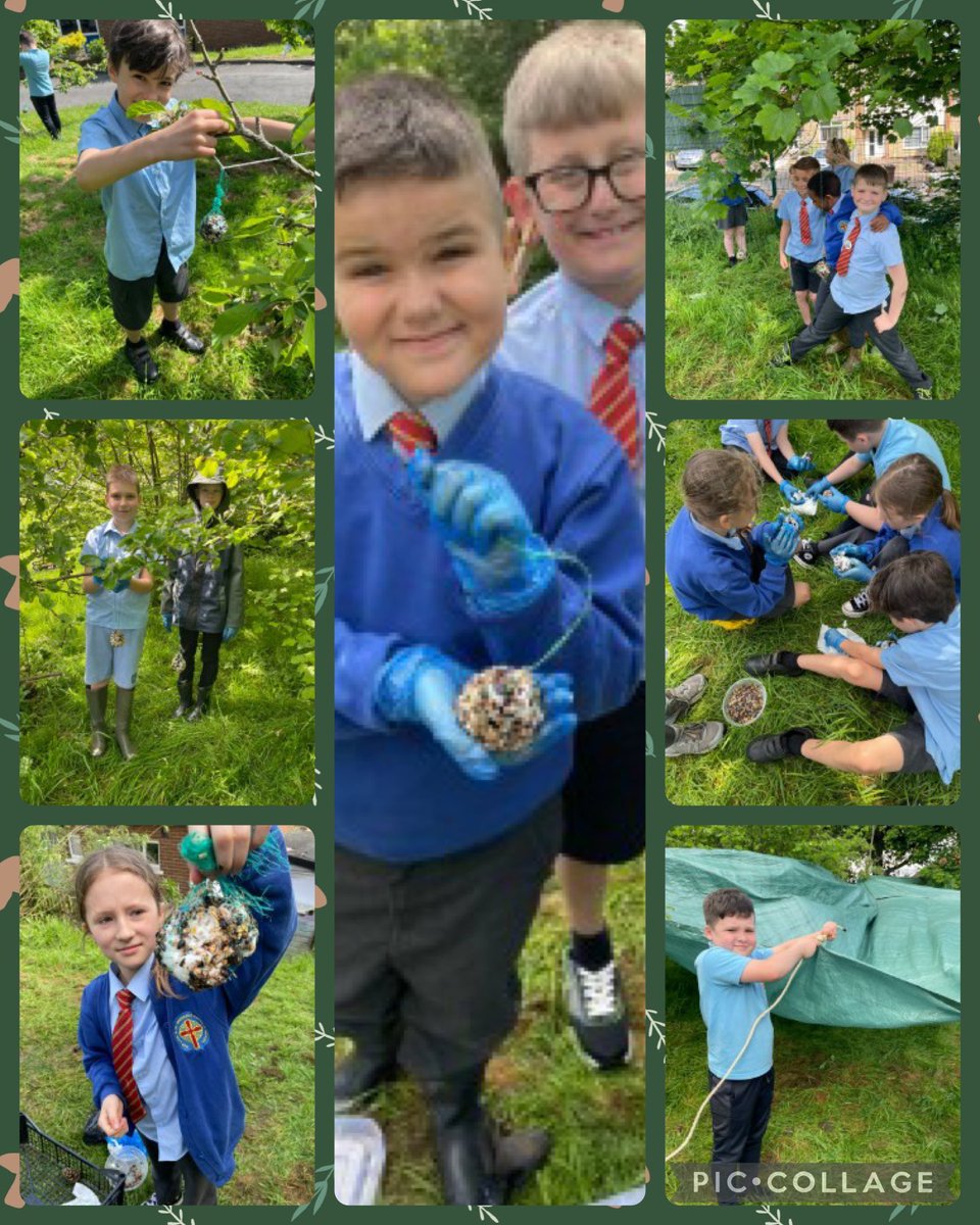 Year 5 discovering joy in learning with our brilliant forest school activities in the sunshine. We made a shelter but will still need wellies and coats tomorrow🌱☀️🌧️@bcw_cat @BfdForestSchls