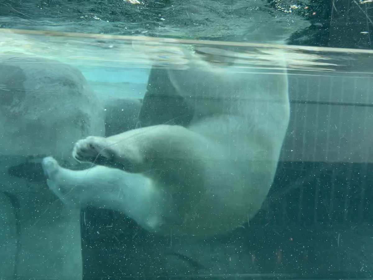 KristinOCCS's tweet photo. Kicked off #CharterSchoolsWeek on this beautiful Monday with @k12_ohva at @ToledoZoo! It was wonderful to see so many OHVA families, teachers, and administrators in attendance. It was a fun day for all! https://t.co/6yy0ihBTO3