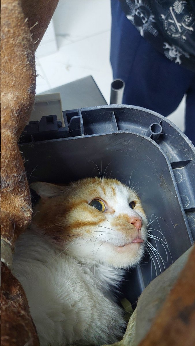 Ameliyatını yaptırabilirim diye umdum, onca borca rağmen yine klinige aldırdım. Acını ben anladım ama kimseye anlatamadım. Sana destek bulamıyorum, özür dilerim.