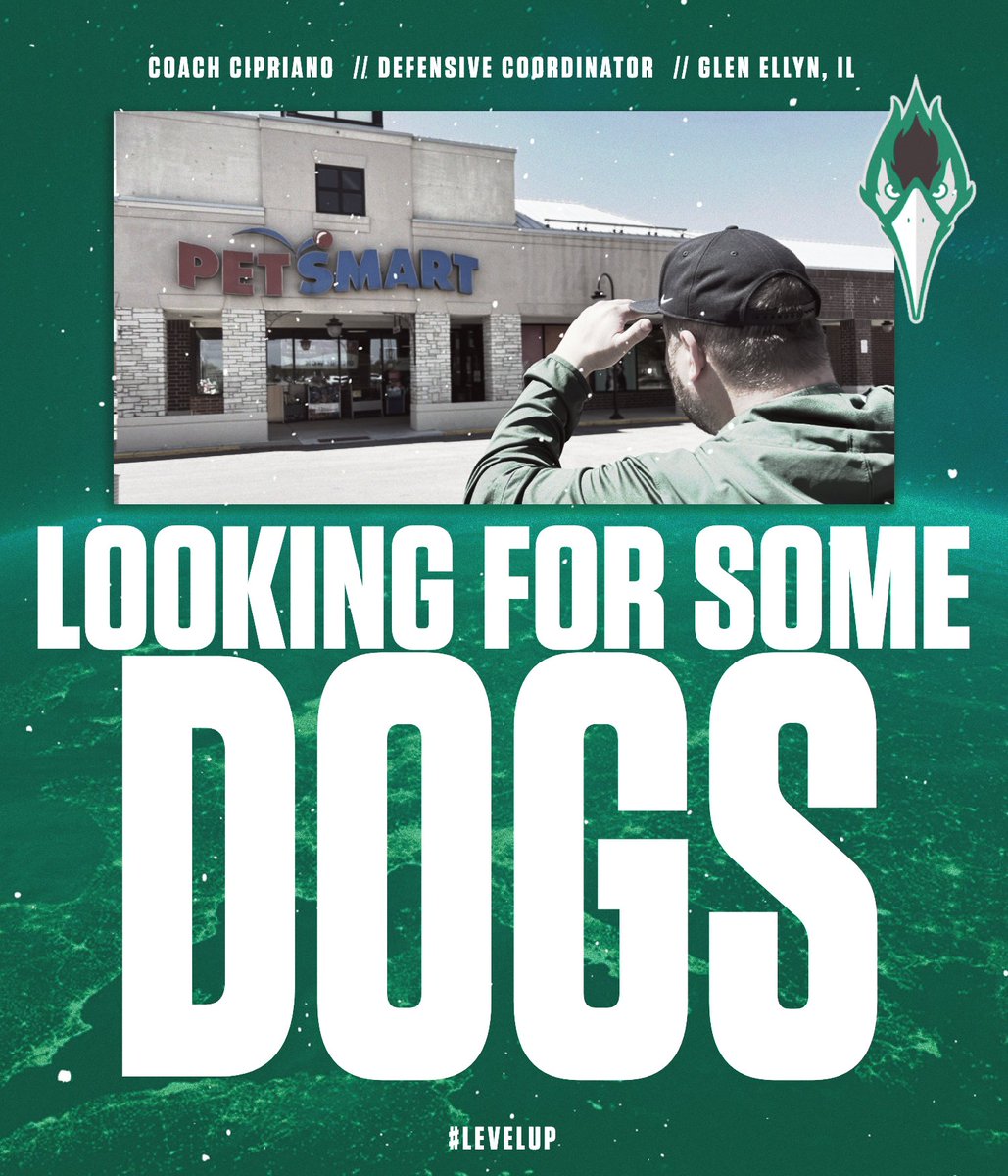 College of DuPage Football (@dupage_football) on Twitter photo ๐๐๐๐ ๐๐๐๐โผ๏ธ
<a href="/CoachTCip/">Coach Cipriano</a> is out lookin' for DOGS ๐
#DogsOnly | #GoChaps | #LevelUp ๐๐๐๐ ๐๐๐๐โผ๏ธ
<a href="/CoachTCip/">Coach Cipriano</a> is out lookin' for DOGS ๐
#DogsOnly | #GoChaps | #LevelUp