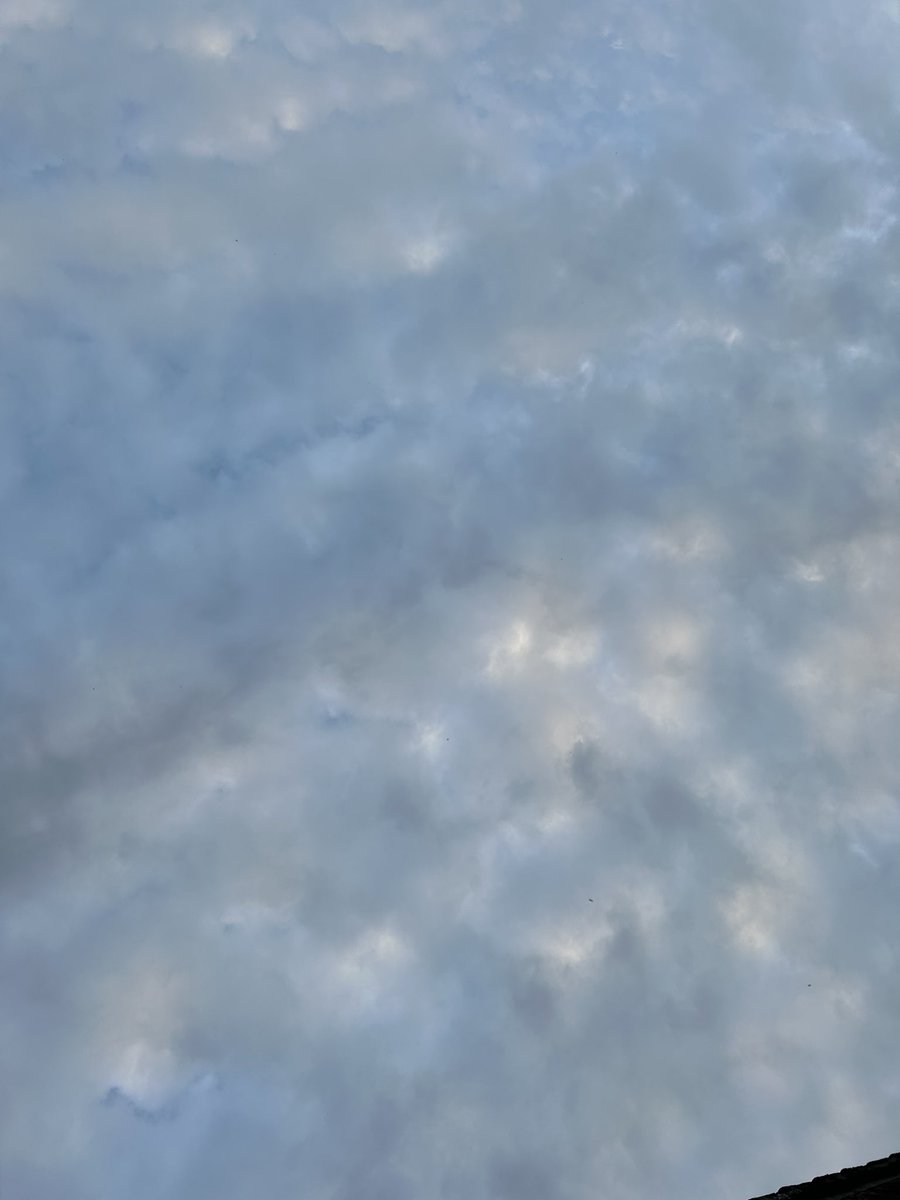 chatswithem's tweet photo. Actual skies right now in York
Filthy . Utterly filthy
π€’π€’π€¬π€¬
STOP MESSING with MOTHER NATURE
#stopgeoengineering
#stopSRM
#lookup
#letusbreathe
#CrimesAgainstHumanity
@VictoriaAtkins
@wesstreeting
@elonmusk @RealCandaceO @benhabib6 @GovRonDeSantis @KemiBadenoch @10DowningStreet
@MichelleDewbs @GregHands @SuellaBraverman @danny__kruger
@RishiSunak @MPIainDS @LeeAndersonMP_ @Jacob_Rees_Mogg @Nigel_Farage @MartinDaubney @JuliaHB1 @Iromg @drdavidbull @TiceRichard @toadmeister @andreajenkyns @andrealeadsom @ABridgen @pritipatel @EstherMcVey1 @thenewcons @trussliz
@JamesCleverly @grantshapps @TomTugendhat @BWallaceMP
@JSHeappey @TuckerCarlson
@AJonesMP @Mather_Keir @michelledonelan @SteveBarclay @ClaireCoutinho