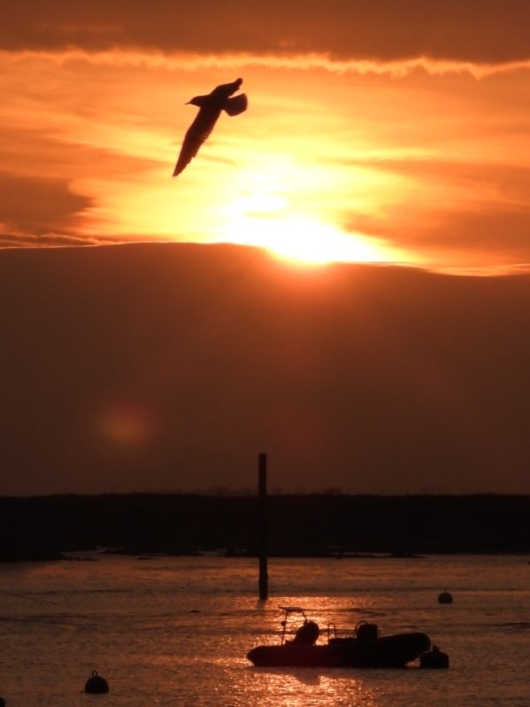 Tonight's sunset, Mersea Island, Essex.
#Essex #WestMersea