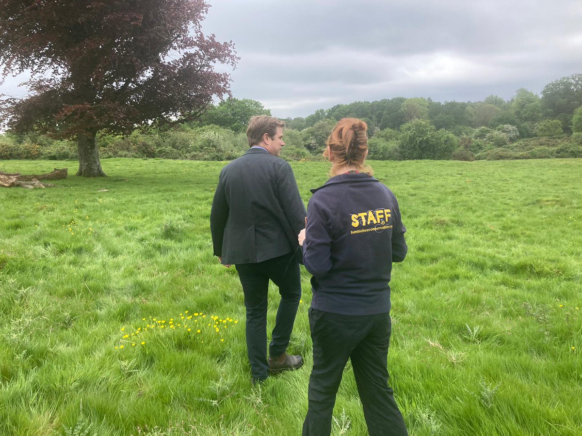 nikkigammans's tweet photo. Today, we went out on two site visits. The 1st was to Benenden Girls School, is a very promising site with many great features and history. The 2nd was to Benenden Medows. We went there to see how the land is developing. A lot of wildflowers starting to come out. @BumblebeeTrust https://t.co/meCYFUYnH2