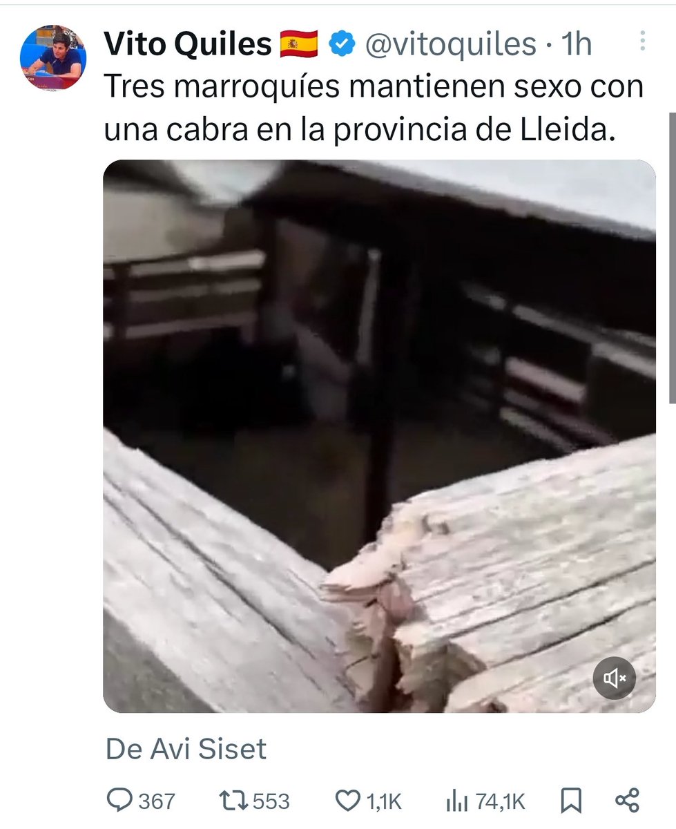 Malamente® tweet media