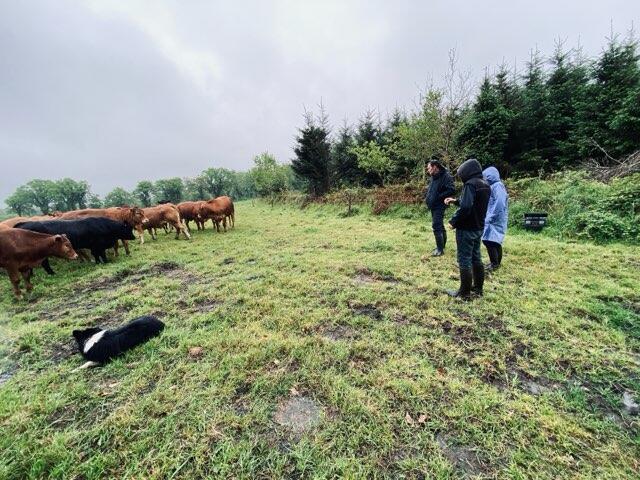 👩‍🌾 FRÉDÉRIQUE À LA FERME Épisode 2 😁 Cet aprèm chez Julien Tallec de la @ConfPaysanne du Finistère à Brennilis pour comprendre les enjeux concrets de l'élevage bovin bio et ce que l'#Europe 🇪🇺🌹doit faire pour soutenir nos agris locaux. Merci pour l'accueil 🙏 #ReveillerLEurope