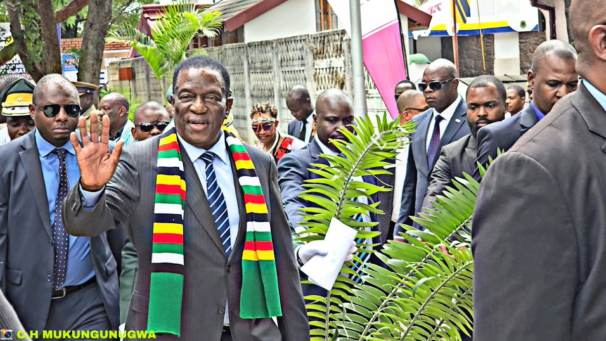 Here is one of my best shots. 
Photo credit: <a href="/CMukungunugwa/">C. H. MUKUNGUNUGWA</a>

I would appreciate your comments on this.