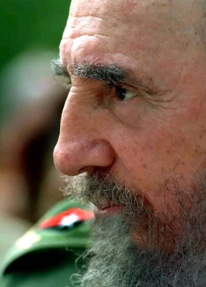 #Fidel 'La labor del Partido Comunista de Cuba, la ideología de la nación cubana, el pueblo revolucionario cubano y su unidad. El aporte y desarrollo de cada uno de estos factores ha enriquecido a los demás, y mantienen una interdependencia'
#EstaEsLaRevolución #AduanadeCuba