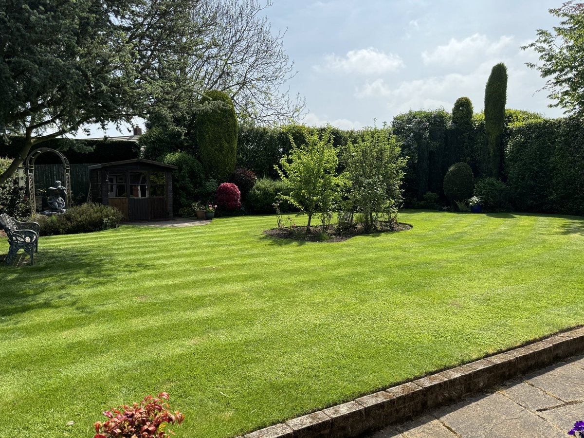 LiamFletcher22's tweet photo. Here’s my #patchoftheweek @mowermanjimmy could I win twice in a row 🤔🤞😂 https://t.co/CaRMnzGvPA