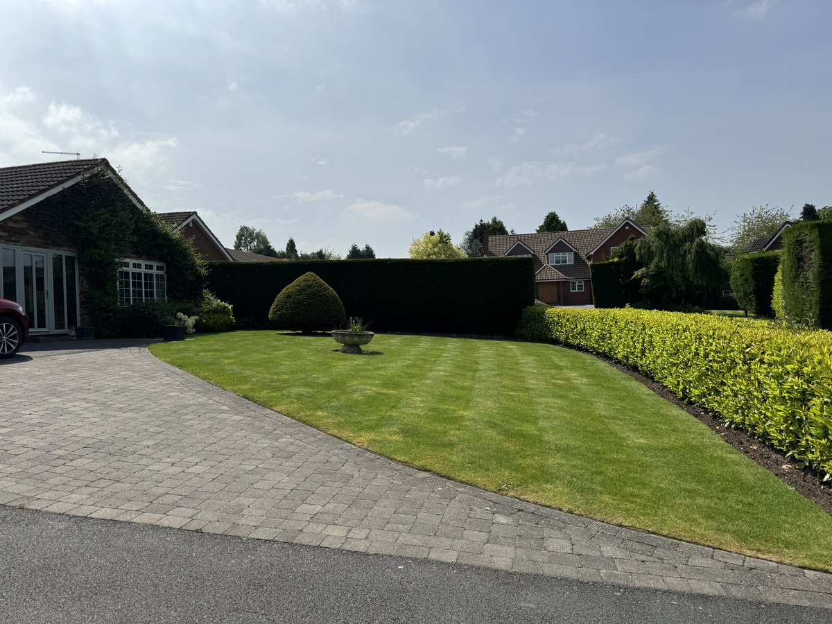 LiamFletcher22's tweet photo. Here’s my #patchoftheweek @mowermanjimmy could I win twice in a row 🤔🤞😂 https://t.co/CaRMnzGvPA