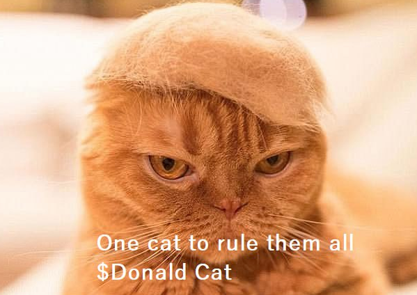 nffftw's tweet photo. @0xBossman $DC @DonaldCat_SOL the hair stays on! https://t.co/FJdbCOPLpT