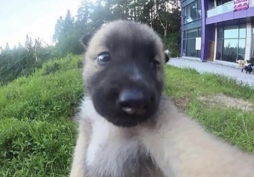 how it feels going on a walk when it’s sunny and nice outside