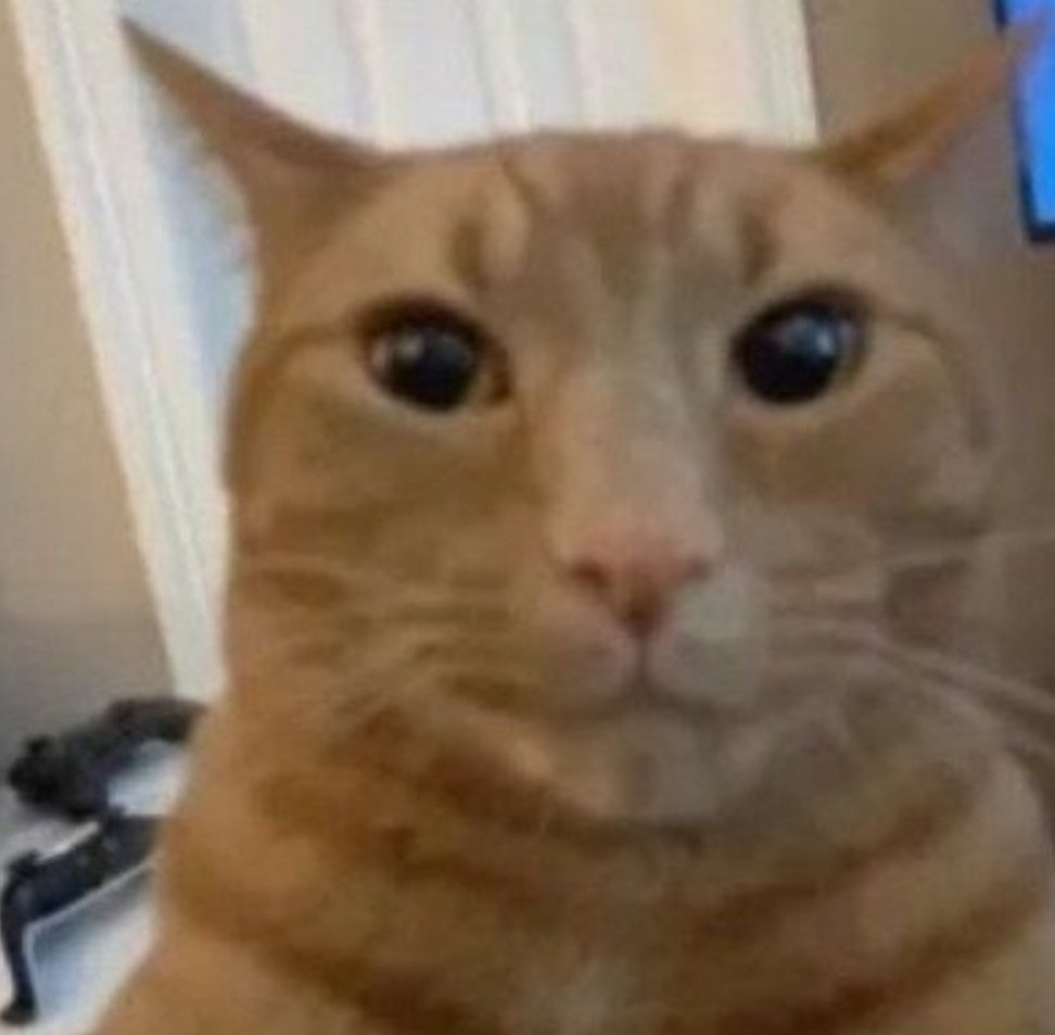 yo stalkeando mi propia cuenta para ver que pensarán de mí: