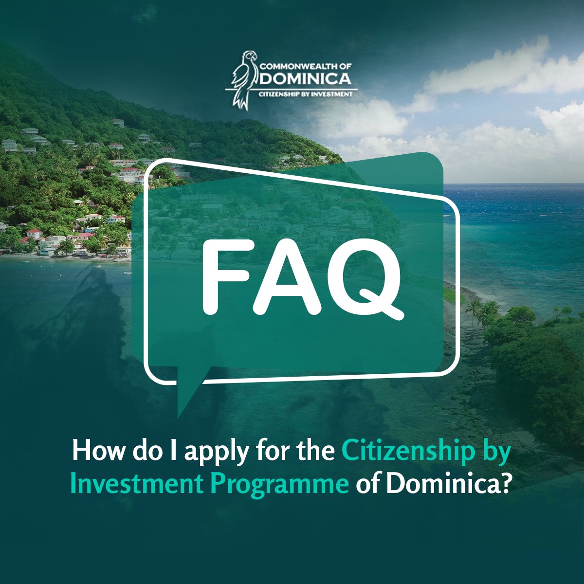 FAQ 2 – How do I apply for the Citizenship by Investment Programme of Dominica?

A detailed breakdown of the steps for applying for citizenship can be found here -
cbiu.gov.dm/dominica-citiz…

#FrequentlyAskedQuestions #HowtoApply #ApplicationProcess #CBIApplication