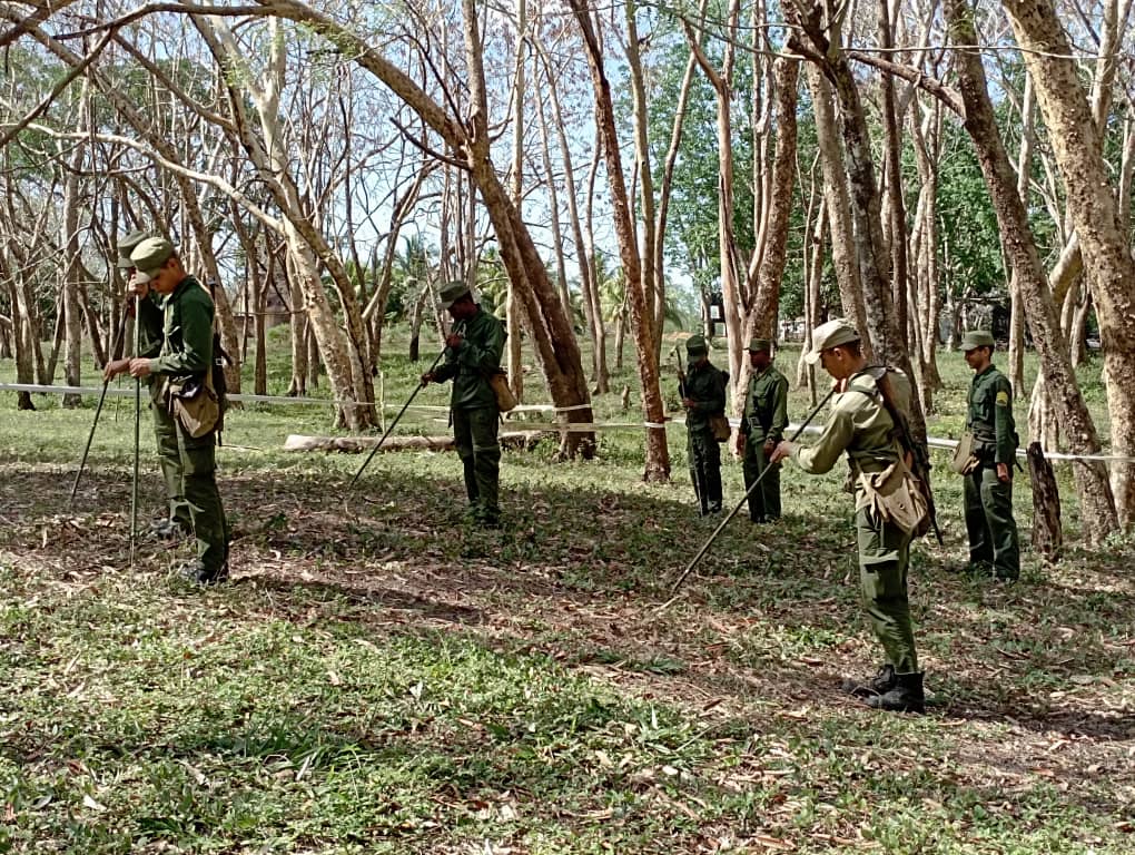 La preparación para la defensa continúa siendo prioridad. Los combatientes se preparan en el trabajo de minado combativo #CubaViveEnSuHistoria @CentralEjercito @RgionMtarVC @MinfarC @RedTocororoCuba