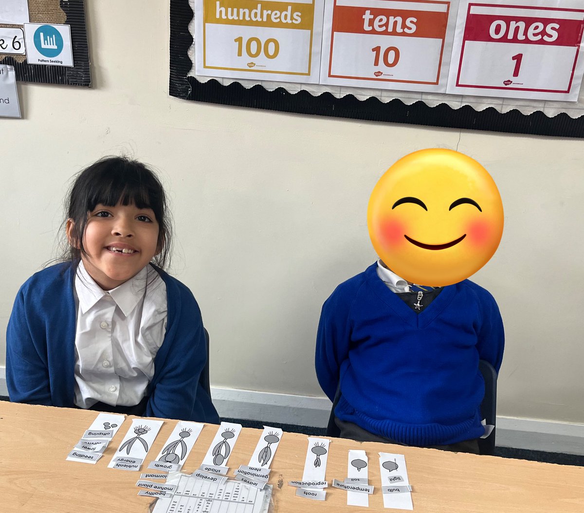 We have been loving learning about plants this half term! Looking forward to our trip this week🌿🌼