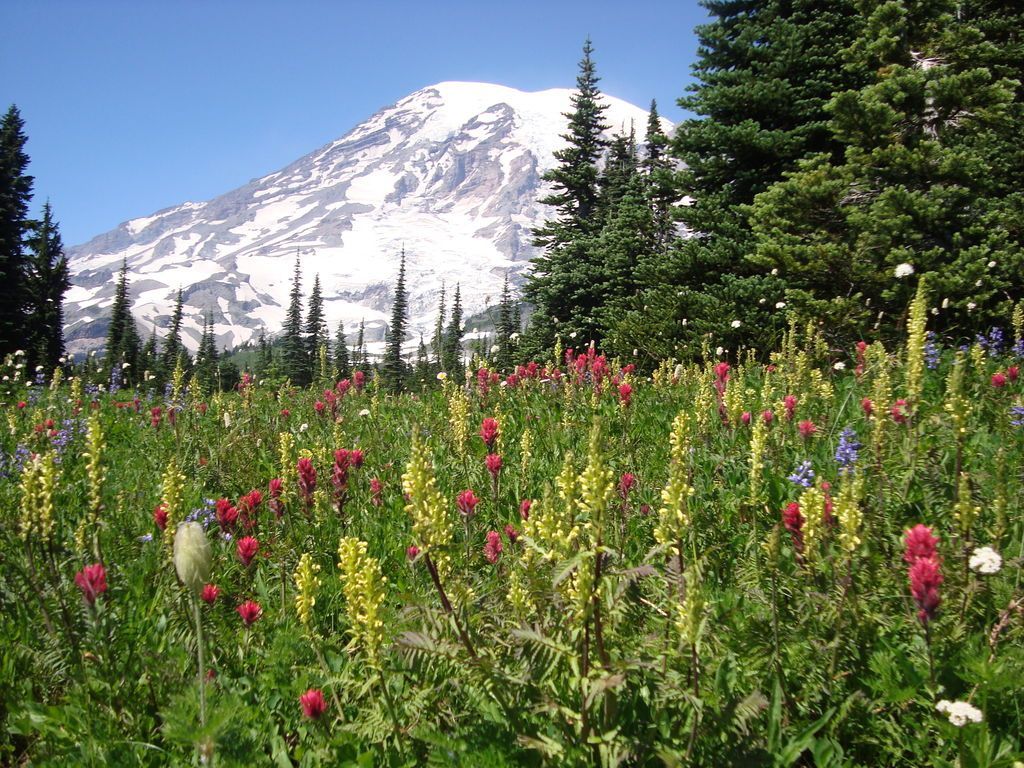 Year Round Opportunity in Human Resources with Guest Services, Inc. as a Year Round Assistant HR Manager. Join and help to shape our dynamic team in Mt. Rainier National Park! #JobsInGreatPlaces #NationalParkJobs #HRJobs @GSISocial buff.ly/3UA93c9