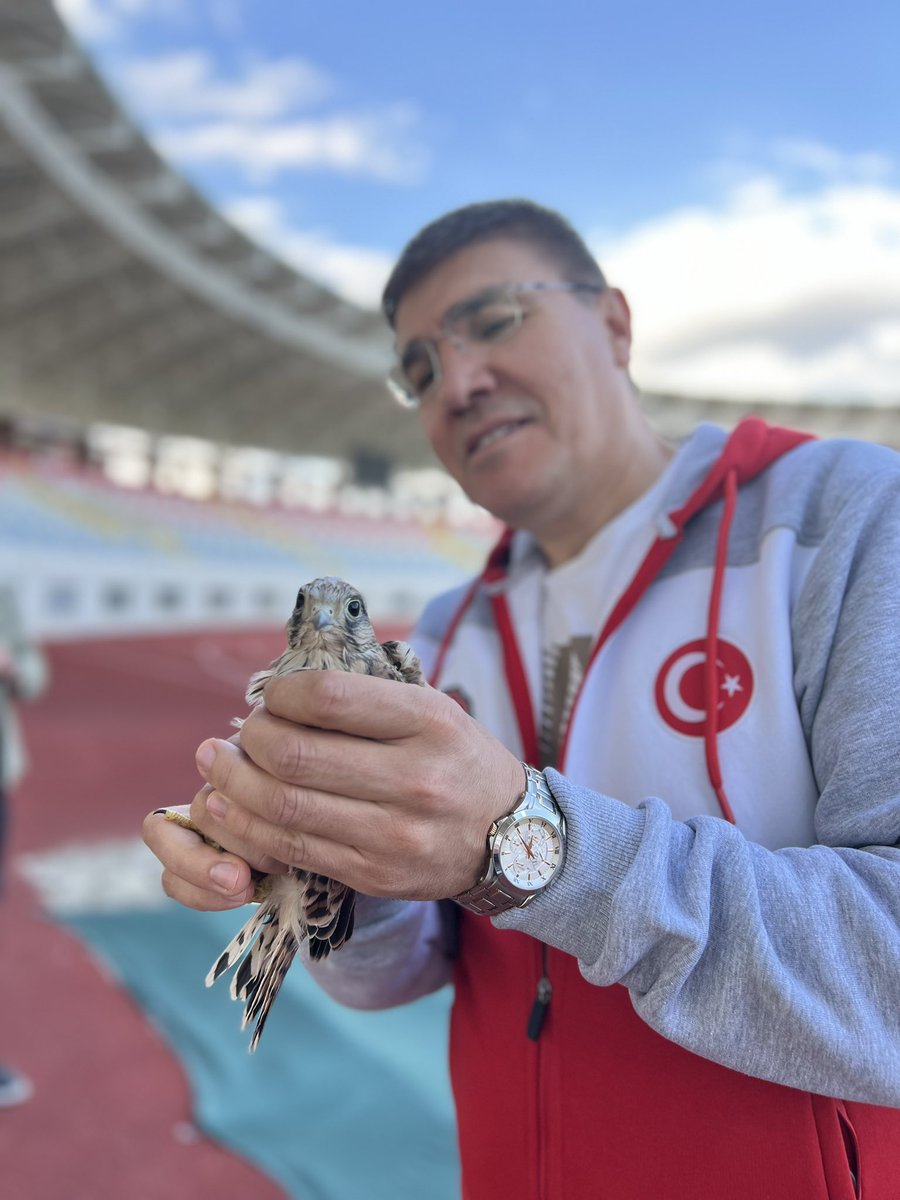 dalgarh's tweet photo. Türü koruma altında olan yaralı atmaca şimdi Hayvan Hastanemizde. https://t.co/eVdYTnKLA2