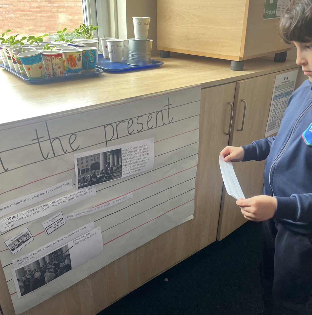 In history, we decided if facts about the Royal Albert Dock were about the past or the present.