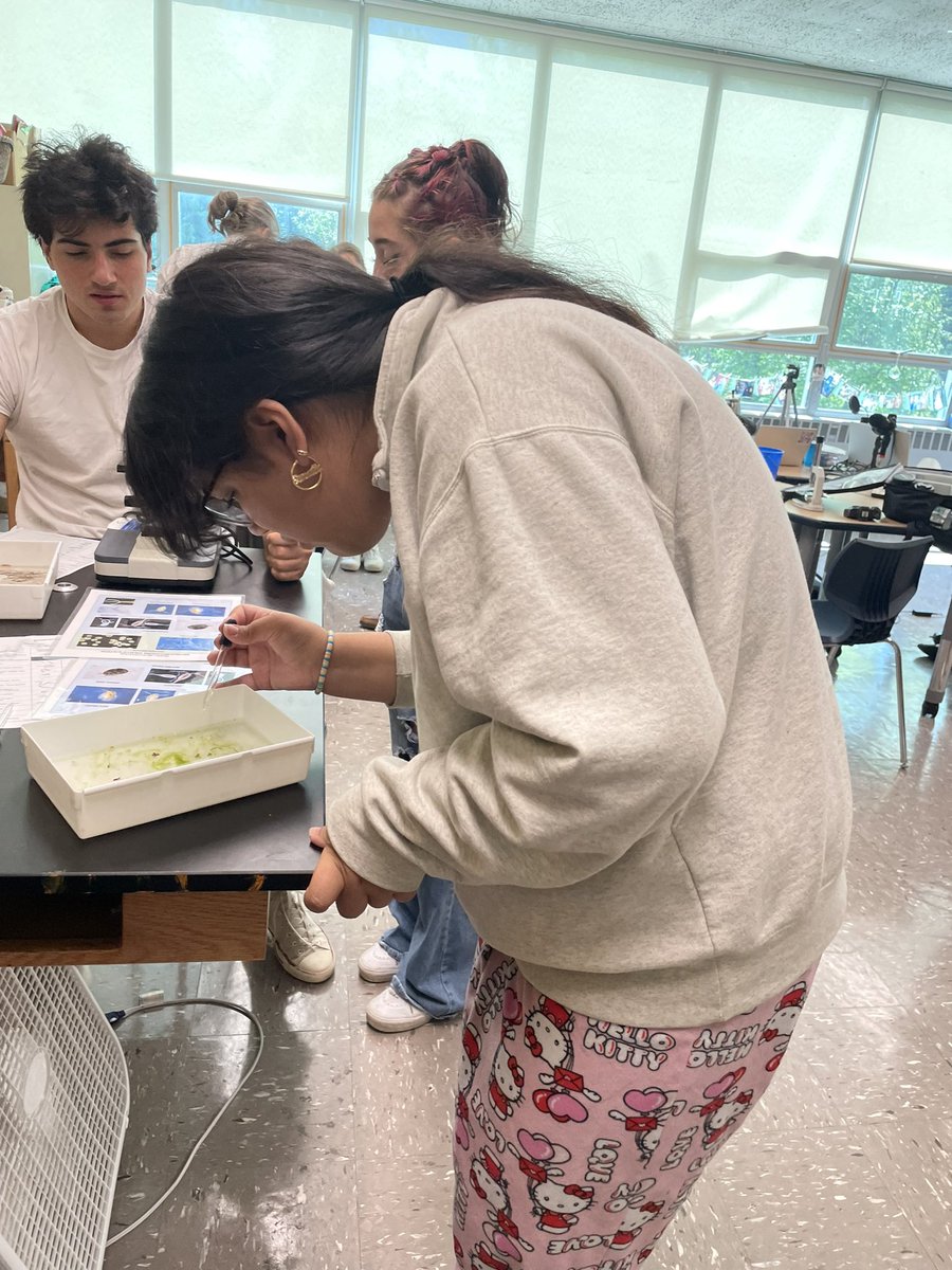 FairfieldSuper's tweet photo. The Mill River Wetland Committee visited WFC for a student lab. Students viewed phyto and zooplankton and learned about how these organisms support the health of our water. The lesson was funded through the Long Island Sound grant through @UConn and CT Sea Grant. https://t.co/uUHVLiZHUx