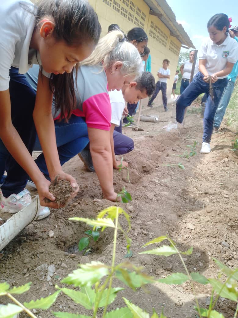 #13Mayo ¡Nuestras brigadas ecológicas se encuentran activas!

Desde la UEN Teresa Heredia, docentes y estudiantes ponen manos a la siembra para un planeta sostenible y sustentable desde nuestras escuelas.

<a href="/NicolasMaduro/">Nicolás Maduro</a>
@MPPEDUCACION
<a href="/_LaAvanzadora/">Yelitze Santaella</a>
#5SeñasDelPueblo