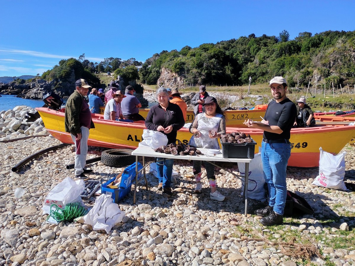 Durante abril fuimos a la #RegióndeLosRíos y evaluamos 6 #AMERB en una jornada maratónica! Gracias al trabajo de los Sindicatos Caleta Huiro, Isla del Rey, y Gente de Mar, evaluamos las áreas Playa Ranque, Niebla, Caleta Huido, Isla del Rey y Galera A y C. Acá un resumen