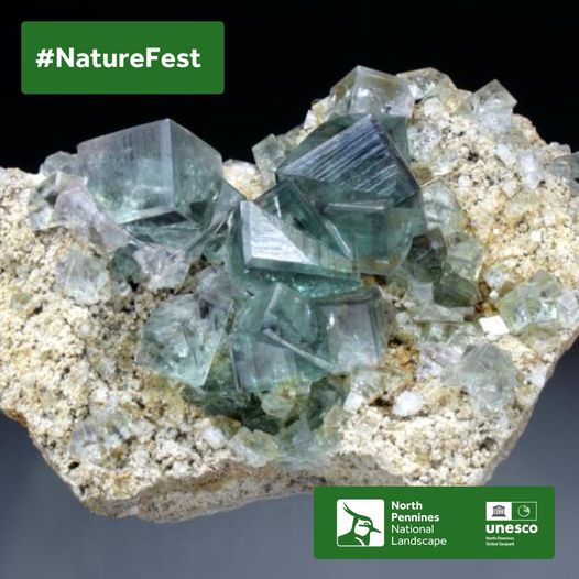 Join us on 9 June, 7pm, at #Hexham Community Centre for a talk by geologist, Brian Young, which will explore some of the #NorthPennines spectacular & beautiful #minerals: northpennines.org.uk/event/talk-the…
Part of #NorthPenninesNatureFest24: NorthPenninesNatureFest.org.uk 24 May-9 June 2024.