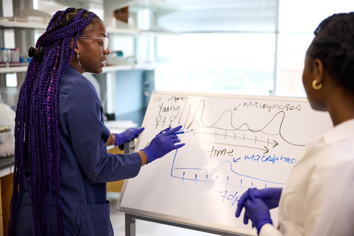 Dr. Deezy (Sade W. Clayton, PhD) tweet media